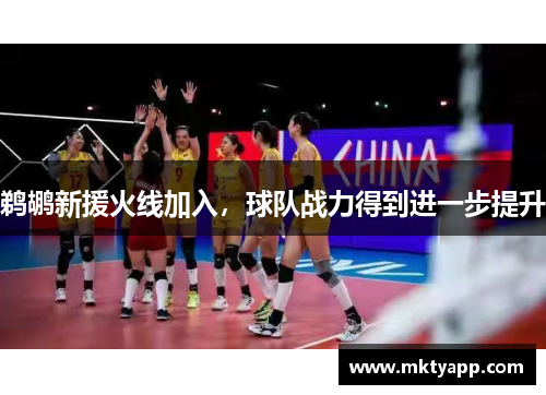鹈鹕新援火线加入，球队战力得到进一步提升